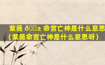 紫薇 🐱 命宫亡神是什么意思（紫薇命宫亡神是什么意思呀）